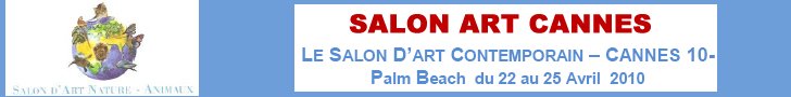 salon d'art à Cannes, Art contemporain Cannes, Salon d'art contemporain Cannes