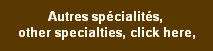 antiquites-paris-antiquites-st-ouen-specialites-art-antiquites