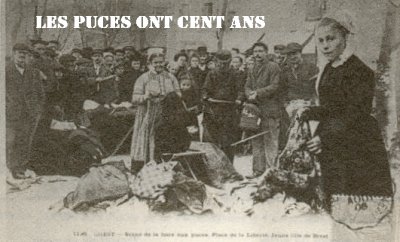 extrait du livre de jean bedel les puces ont cent ans