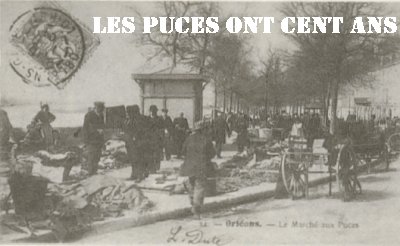 extrait du livre de jean bedel les puces ont cent ans